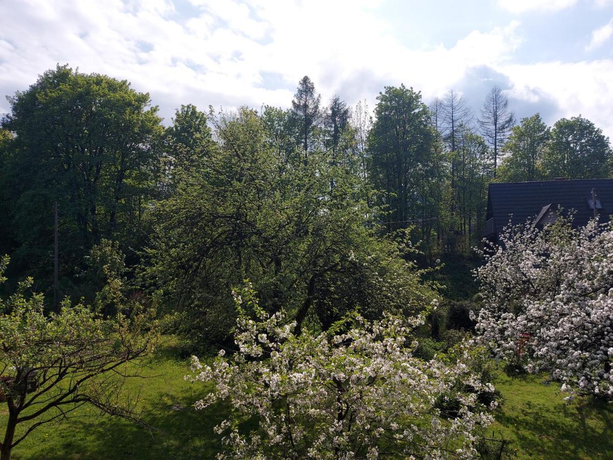 Bolek I Lolek Apartamento *